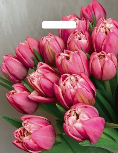 пакеты выр.31х40 Стелла ШК