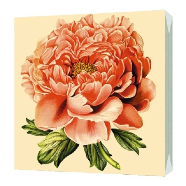салфетки 25х25  Пионы/50