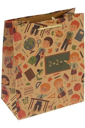 сумка крафт 18х23х10 Школьники