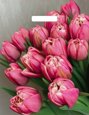 пакеты выр.31х40 Стелла ШК