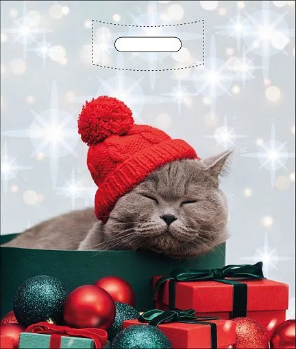 пакеты выр. 40х50 Новогодний кот НГ 2А